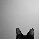 ���� Xtino4ka, ��������� - ��������� 3 ������ 2014 � ������ ������ ��������