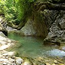 ���� Vikecha, ������ - ��������� 1 ���� 2014 � ������ ������� ������,���� �������(�������),����������� �-���