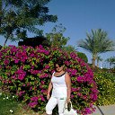 ���� ��������, ������������ - ��������� 20 ������ 2014 � ������ ���� ����������