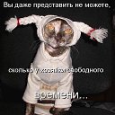 ���� �����, ������������ - ��������� 5 ������ 2014 � ������ �������, ���� ������� ��������.�