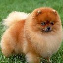 ���� ""��������"", ������, 31 ��� - ��������� 17 ����� 2014 � ������ ���� ����������