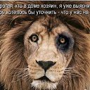 ���� �������, ����, 72 ���� - ��������� 30 ����� 2014 � ������ ������ ��������