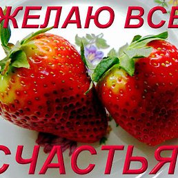 ���� ��������, �����, 65 ��� - ��������� 26 ���� 2014
