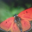 �������.������ 2014�. �� ������� ���������