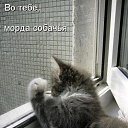 ���� ��������, ���� - ��������� 14 ���� 2014 � ������ ������ ��������