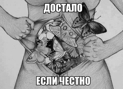 ...  .. - 31  2014  18:28