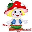 ���� ������, ��������� - ��������� 5 ������ 2014 � ������ ������ ��������