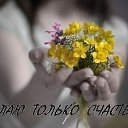 ���� �����, ����������� - ��������� 20 ����� 2014 � ������ ������ ��������