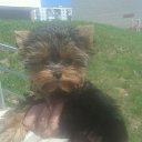  Grant, , 49  -  4  2014   888