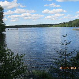 ���� ����������, �����-���������, 54 ���� - ��������� 8 ������� 2014