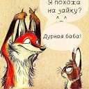 ���� ����, �����-��������� - ��������� 19 ������� 2014 � ������ ������)�