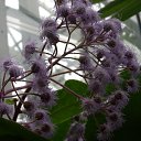 ���� ������, �����-���������, 64 ���� - ��������� 15 ������ 2014 � ������ ���������