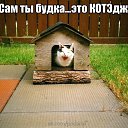 ���� Anna, �����-���������, 48 ��� - ��������� 5 ��� 2014 � ������ ������ ��������