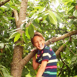 ���� �������� ������, ���������, 42 ���� - ��������� 18 ���� 2014