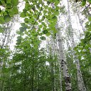 ���� ������� �� �������!!!, ��������� - ��������� 13 ������� 2014 � ������ ���� ����������