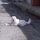 ���� ����, ����, 48 ��� - ��������� 21 ������ 2014 � ������ ������ ��������