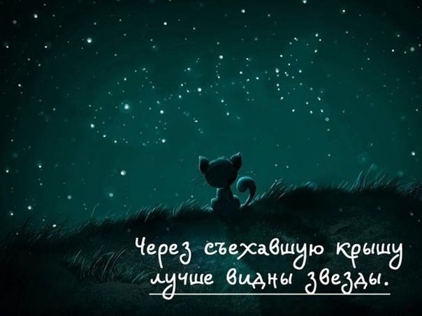  - 29  2014  19:49
