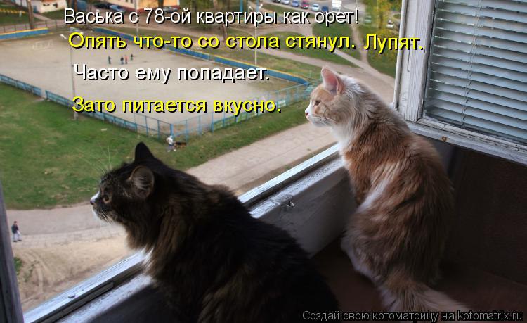 Alex Linadherent - 18  2014  07:14