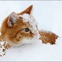���� ���, ����� - ��������� 4 ������� 2014 � ������ ���� ������ � �� ������