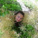 ���� ����, ��������, 40 ��� - ��������� 14 ���� 2014 � ������ ���� ����������