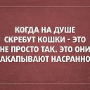 ���� �����, ������ - ��������� 29 ���� 2014 � ������ ������ ��������