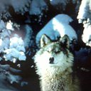 ���� ������, ������, 46 ��� - ��������� 5 ���� 2014 � ������ ���������