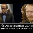 ���� ����, ������������, 33 ���� - ��������� 1 ��� 2014 � ������ ������ ��������