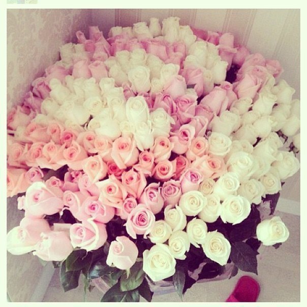    - 13  2014  23:45 - 6