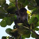     ,  -  18  2014    2013