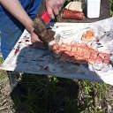 ���� �������, �����-��������, 53 ���� - ��������� 18 ���� 2014 � ������ ����� ������� � ����