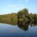 ���� ������ ��������, ������, 37 ��� - ��������� 8 ������� 2014 � ������ ���� ����������