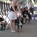 �� ������!!! �� ������� ���� ����������