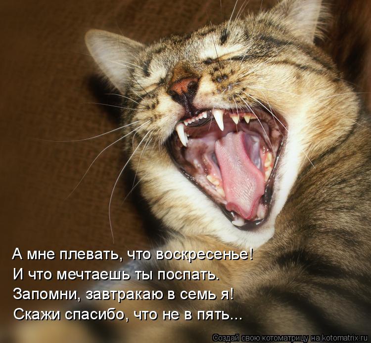   :3 - 1  2014  13:08