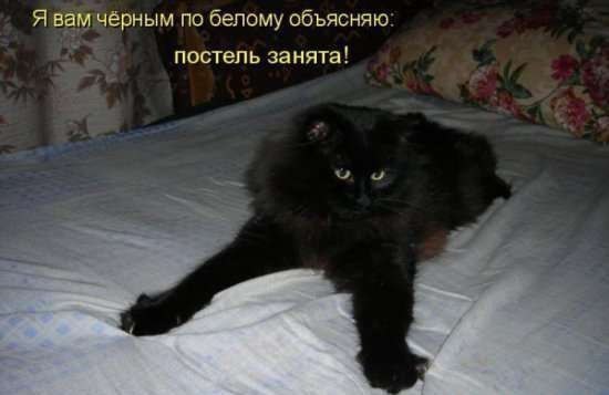    : ,   , . ,    , . ,   ...