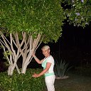 ���� ����, ����� - ��������� 11 ���� 2014 � ������ ������ ��������