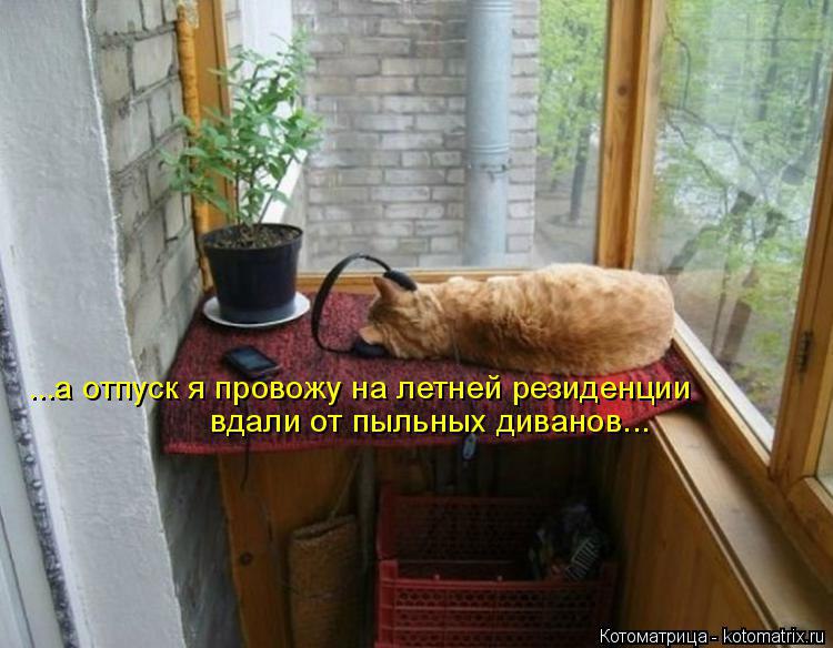 Alex Linadherent - 17  2014  09:11