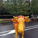���� Max, ������, 43 ���� - ��������� 25 ������ 2014 � ������ ������� � ������������