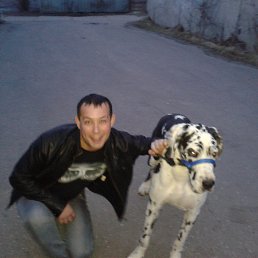 �����, �����-���������, 41 ���