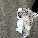 ���� �������, �����-���������, 55 ��� - ��������� 6 ������� 2014 � ������ ���� ����������