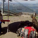 ���� ������, �����������, 52 ���� - ��������� 26 ���� 2014 � ������ ��������� �����