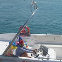 ���� �����, �����-��������� - ��������� 29 ����� 2014 � ������ ���� ��