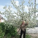 ���� �������, ������ ��������, 71 ��� - ��������� 13 ��� 2014 � ������ ���� ����������