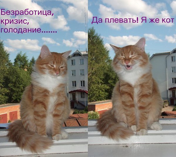 ���� ������� :3 - 5 ������� 2014 � 13:02