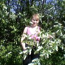 ���� ��������, �����-��������� - ��������� 20 ��� 2014 � ������ ���� ����������