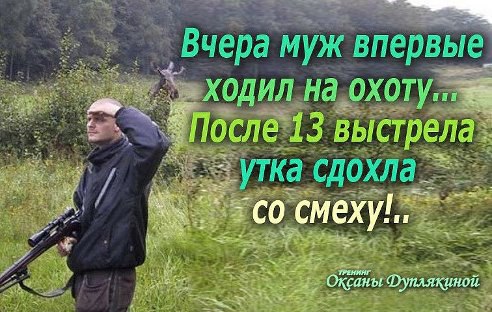  - 17  2014  13:21