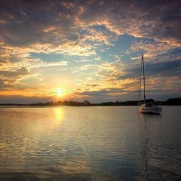 ���� ��������, ���������� - ��������� 26 ���� 2014