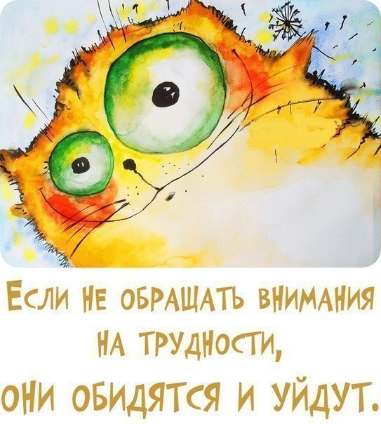   |  |  - 3  2014  10:21