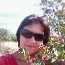 ���� 2014 �� ������� ���� ����������