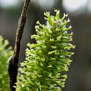 ���� �����, �����, 64 ���� - ��������� 24 ������ 2014 � ������ ������ � �����!�