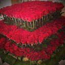 ���� ������, �����������, 50 ��� - ��������� 24 ���� 2014 � ������ ���� ����������